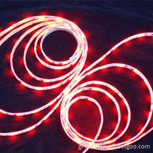 5050 RGB 12V DC Flexible LED Strip Light, Sized 5,000 x 10mm